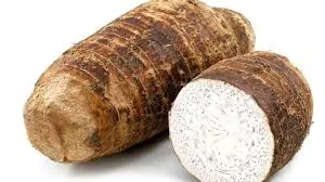 Malanga